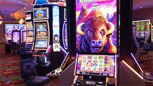 Stat77 live casino langsung dengan dealer cantik profesional